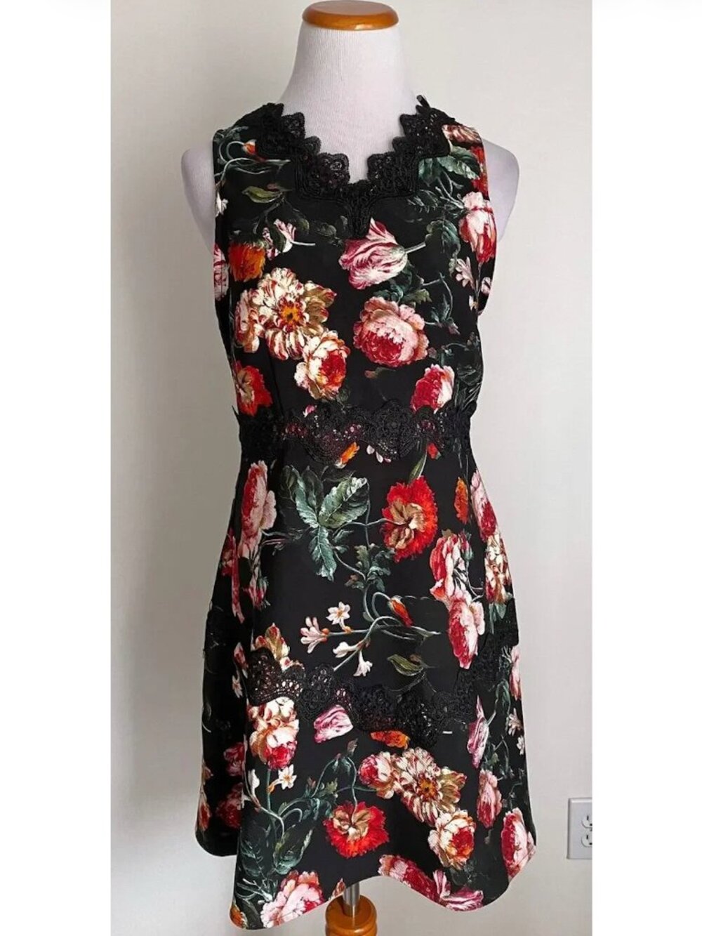 Chelsea28 Foxie Floral Dress, Black & Red Floral w/ Black Lace Trim, Medium